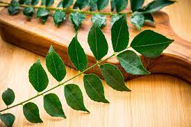 Benefits of Curry Leaves